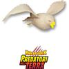 Predatori della Terra: Falco Pellegrino