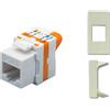 TechLy presa di rete RJ45 UTP Cat.6 tooless + Legrand Mosaic bianca