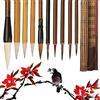 XCSJ 6 Pcs Pennelli Per Calligrafia Cinese Eccellente Kanji Giapponese Sumi da Disegno, 3 Dimensioni, 2 Materiale, Per Calligrafia, Pittura,Studenti,Principianti (Marrone,10 Pcs)