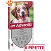 Bayer Elanco Advantix Spot-On per Cani da 10-25 kg - 6 pipette