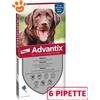 Bayer Elanco Advantix Spot-On per Cani da 25-40 kg - 6 pipette
