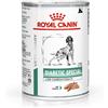 Royal Canin V-Diet Diabetic Umido Cane 410G