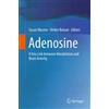 Springer Adenosine