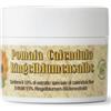 Fornitori Diversi Pomata Calendula Formulazione Maria Treben 80 Ml