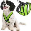 GOOBY Comfort X Pettorina per Cani, Verde