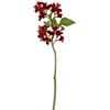Express Flor Scatola di 12 lilla artificiali da 33 cm rosso