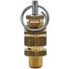 CNCTEC Valvola di sicurezza regolabile 1/8 0-2 bar (non testata componente) valvola di sovrapressione dell'aria compressa