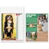 Calendari Olandesi illustrati personalizzati Cani e Gatti 30 x 47 cm personalizzate o neutre