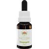 Australian Bush Flower Essences Isopogon 15ml