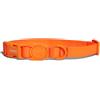 Zee.Dog Collare per Cani Regolabile Linea Neopro Tangerine, l-45-70cm