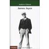 Il Mulino James Joyce Andrew Gibson