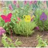 Nortene Pic Giardinaggio h 28cm cl X200