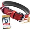 Schnüffelfreunde Collare per cane in pelle | Collari per cani in cuoio genuino - elegante e robusto (S - 24-30cm, Rosso)