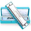 East top armonica, diatonico 10 fori C chiave, blues, per principianti, bambini, bambini, studenti, regalo, con caso, panno pulito e manuale