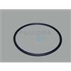 Astral pool O-Ring prefiltro pompa A.Victoria Plus