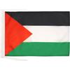 AZ FLAG BANDIERA PALESTINA 45x30cm - BANDIERINA PALESTINESA 30 x 45 cm cordicelle - AZ FLAG