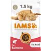 IAMS Cibo secco per gatti con salmone - Cibo secco per gatti da 1-6 anni, 1,5 kg