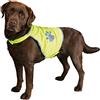 TRIXIE Sicurezza Maglia del Cane, Riflettente, Size: Medium - Uovo Border Collie, Beagle