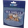 Hobby, Set di Conchiglie di Mare