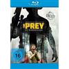 Der Petersen GmbH & Co.KG The Prey - Die Menschenjagd