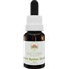 Australian Bush Flower Essences Green Spider Orchid 15ml