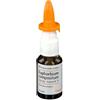 Guna Heel Euphorbium Compositum Spray Nasale 20ml