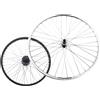 RMS RUOTA POS.16 Posteriore City Bike
