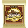 Ernie Ball Earthwood 12-String Custom Light 80/20 Bronze Acoustic Guitar Strings - 10-48 Gauge