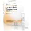 Heel Lycopodium compositum medicinale omeopatico per il fegato 10 fiale