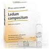 Heel Ledum compositum medicinale omeopatico 10 fiale