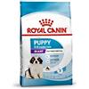 ROYAL CANIN CANE GIANT PUPPY 3,5 KG