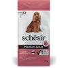 Schesir Dog Adult Medium Maintenance Prosciutto - 12 kg Croccantini per cani