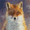 Collection d'Art PA1878 Foxy - Stampa Aida per ricamo a punto croce, in cotone, multicolore, 34 x 34 cm