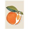 Declea Home Decor Stampa Moderna ideale per la cucina Agrumi - Stampa Frutta Immagine Agrumi in alta qualità per arredo casa ristorante pub e negozi