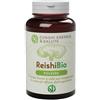 FUNGHI ENERGIA&SALUTE Srl REISHI POLVERE BIO 100G