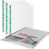Esselte 628617-500 buste in poliestere, spessore 43 micron, buste A4 goffrate con dorso verde rinforzato perforato, ideali per raccoglitori a leva e raccoglitori ad anelli (confezione da 500),
