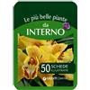 Demetra Le più belle piante da interno. 50 schede illustrate