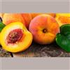 LUCGEL SRL Purea di frutta 100% Pesca Nettarina Consevazione a Temperatura Ambiente 1,5 Kg
