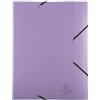Exacompta - Rif. 16270E - Scatola per archivio con elastici CARTOBOX - consegnata piatta - dorso 6 cm - in polipropilene Chromaline pastello - dimensioni 25 x 33 cm - per A4 - Colore casuale