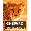 Independently published Libro Fotografico - Ghepardo - Grande Collezione Incredibile: 100 Bellissime Foto Di Ghepardo In Una Fantastica Collezione - Per Bambini E Adulti