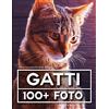 Independently published Libro Fotografico Di Gatti: 100 Bellissime Foto In Questo Fantastico Fotolibro