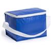 Mini borse frigo personalizzate personalizzate o neutre