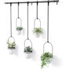 Umbra Triflora Portavasi da appendere per finestra, set di 5, Bianco | Regolabile orizzontalmente e verticalmente, montaggio incluso, vasi da 7,6 e 15 cm, polipropilene riciclato