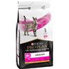 PURINA PRO PLAN Veterinary Diets Feline UR ST/OX - Urinary con Pollo - 5 kg
