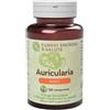 FUNGHI ENERGIA&SALUTE Srl Auricularia - Basic - 120 compresse