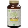FUNGHI ENERGIA&SALUTE Srl Auricularia - Plus - 90 compresse