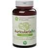 FUNGHI ENERGIA&SALUTE Srl Auricularia polvere BIO 100 gr
