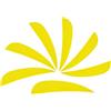 ZSHJGJR ZSHJG 50pcs Piume di Freccia Fletches 3 Pollici Natural Piuma Fletching Ala Destra per la Caccia Fai da Te Frecce di Carbonio (Giallo)