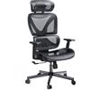 NOBLEWELL - Sedia da ufficio ergonomica con schienale alto, sedia da ufficio in rete con supporto lombare, braccioli 3D, doppio schienale e poggiatesta regolabile