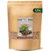 Biojoy Grano Saraceno Decorticato Biologico (1,5 kg), Crudo e Intero, Senza Additivi